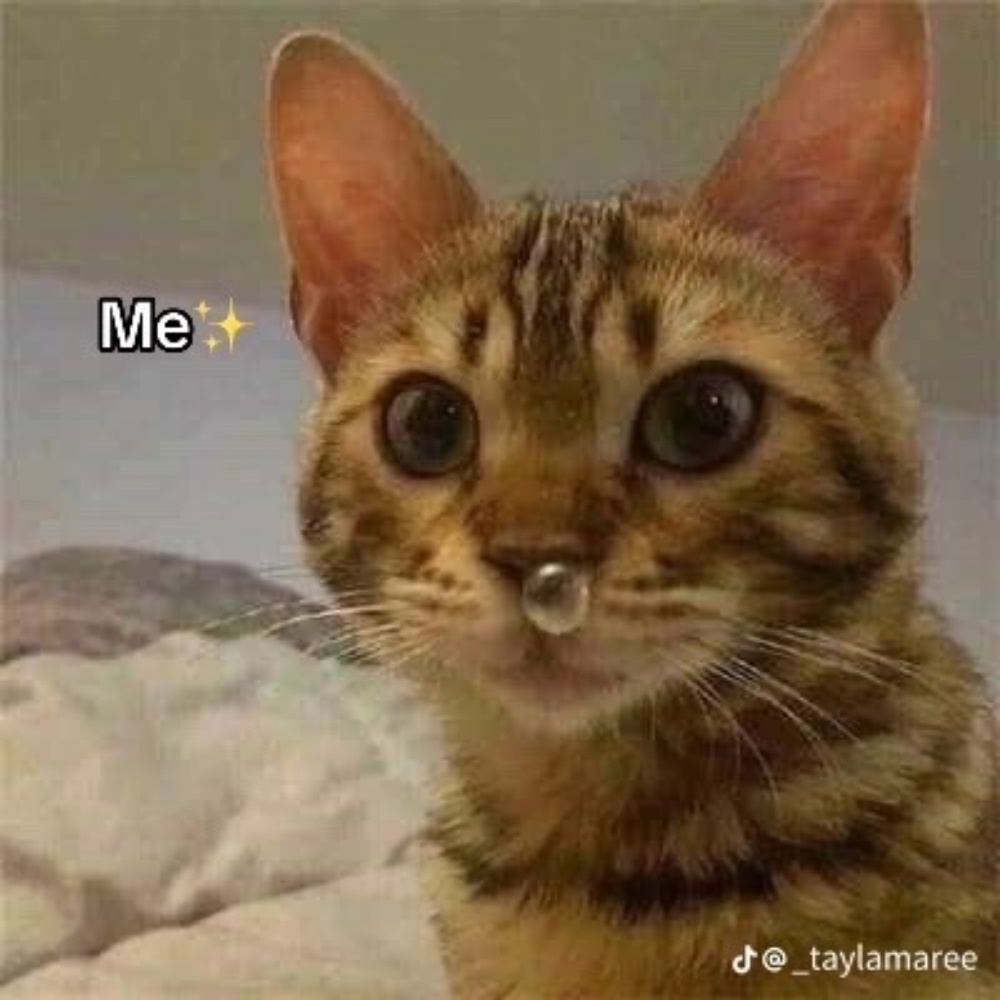 Meet your Posher, Jana